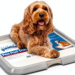 PAWISE Dog Pee Pad Holder Tray Secure Frame Anti Slip-0