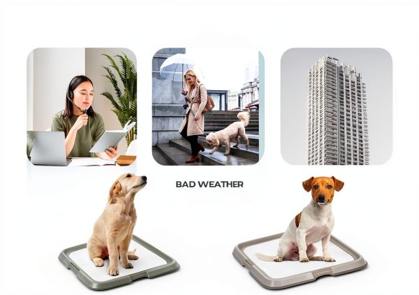 PAWISE Dog Pee Pad Holder Tray Secure Frame Anti Slip-6