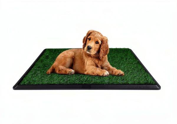 FluffyDream Dog Litter Box with Real Grass-3