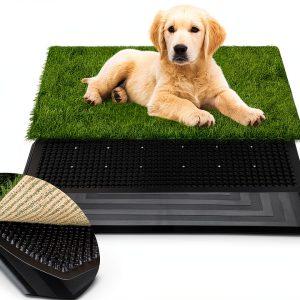 FluffyDream Dog Litter Box with Real Grass-0