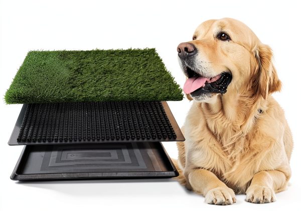 FluffyDream Dog Litter Box with Real Grass-1