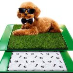 Annexfun Dog Grass Pad for Dogs 20x25-0