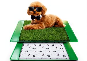 Annexfun Dog Grass Pad for Dogs 20x25-0