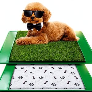 Annexfun Dog Grass Pad for Dogs 20x25-0