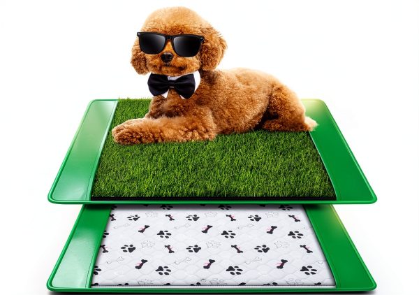 Annexfun Dog Grass Pad for Dogs 20x25-0