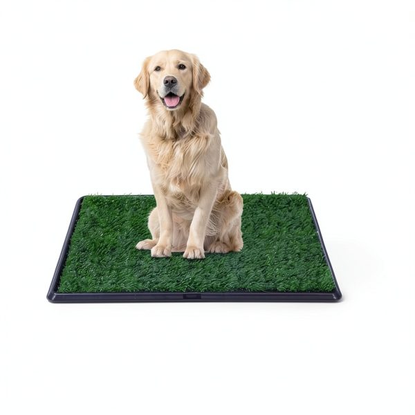 FluffyDream Dog Litter Box with Real Grass-6