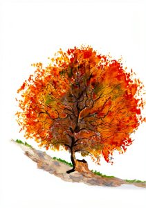 Van Dusen Art and Verse Forest Painting Book for Kids Ages 4‑7-0